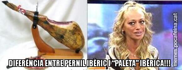 DIFERÈNCIA ENTRE PERNIL IBÈRIC I “PALETA” IBÈRICA!!!