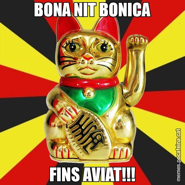 BONA NIT BONICA FINS AVIAT!!! - El Gat de la Cup - 27S