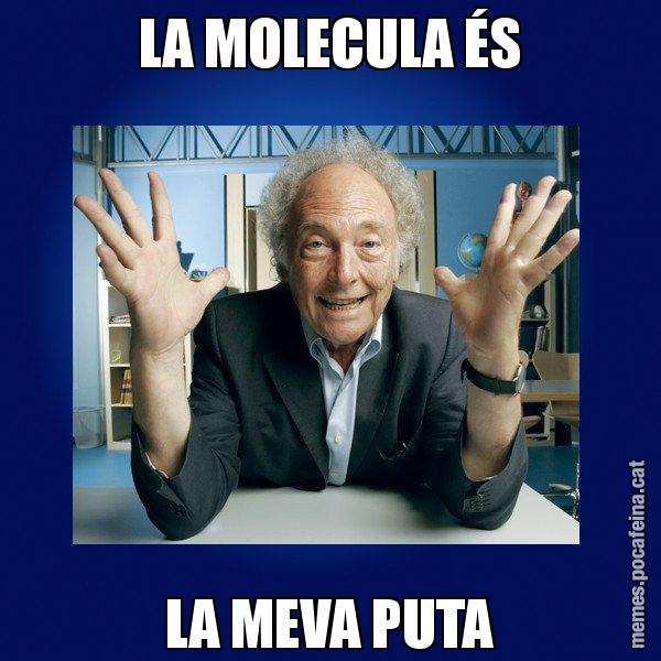 LA MOLECULA ÉS LA MEVA PUTA - Eduard Punset