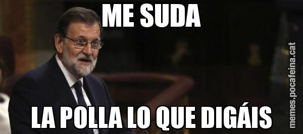 ME SUDA LA POLLA LO QUE DIGÁIS