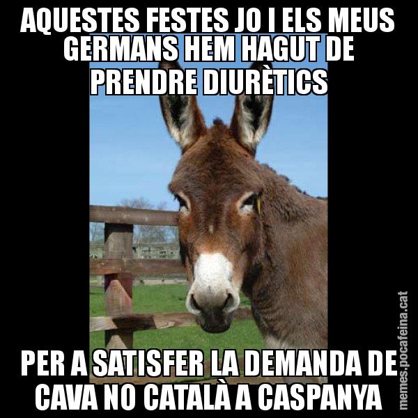 AQUESTES FESTES JO I ELS MEUS GERMANS HEM HAGUT DE PRENDRE DIURÈTICS PER A SATISFER LA DEMANDA DE CAVA NO CATALÀ A CASPANYA - El burro Català