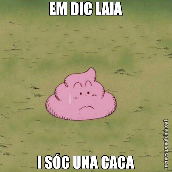 EM DIC LAIA I SÓC UNA CACA - Caca