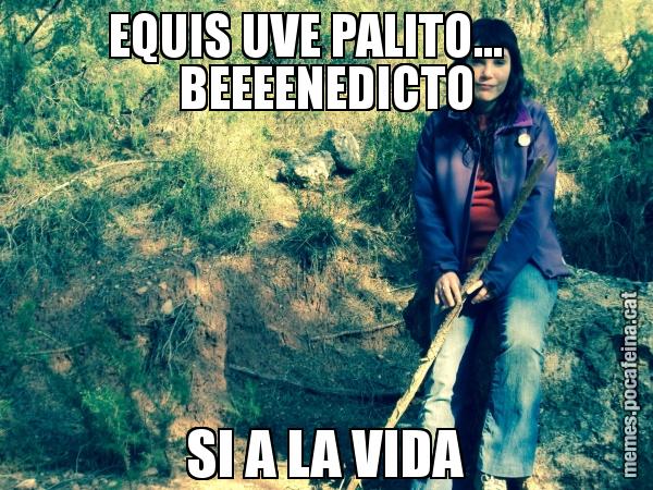 EQUIS UVE PALITO...     BEEEENEDICTO SI A LA VIDA