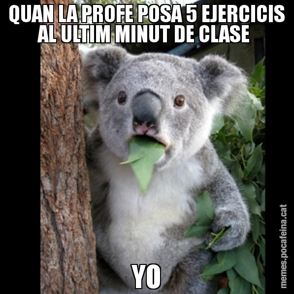 QUAN LA PROFE POSA 5 EJERCICIS AL ULTIM MINUT DE CLASE  YO - Koala Cant Believe It