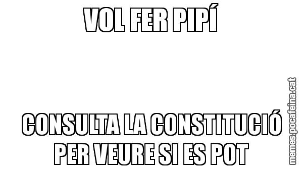 VOL FER PIPÍ CONSULTA LA CONSTITUCIÓ PER VEURE SI ES POT