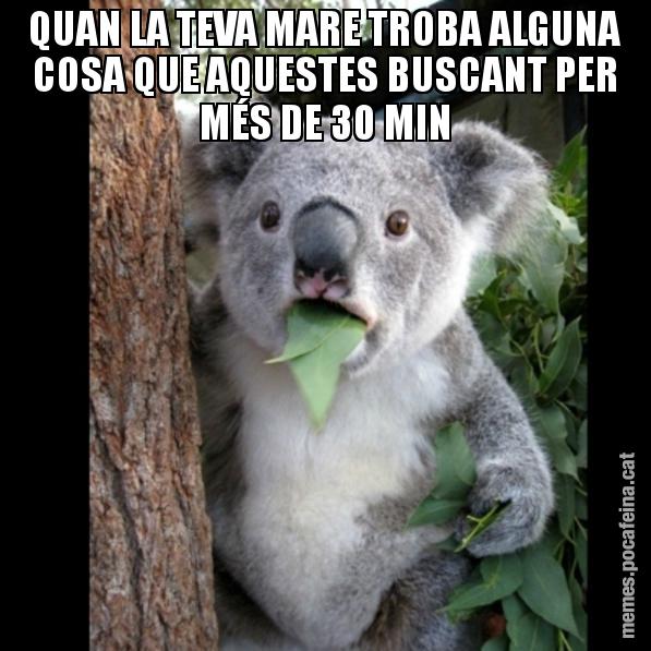 QUAN LA TEVA MARE TROBA ALGUNA COSA QUE AQUESTES BUSCANT PER MÉS DE 30 MIN - Koala Cant Believe It