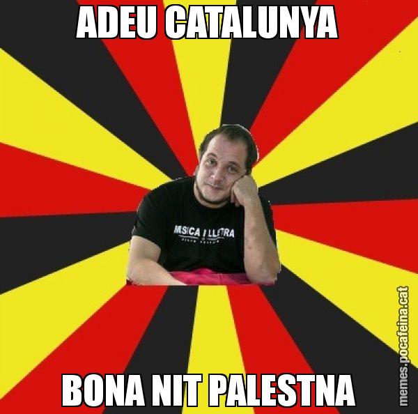 ADEU CATALUNYA BONA NIT PALESTNA - David Fernàndez