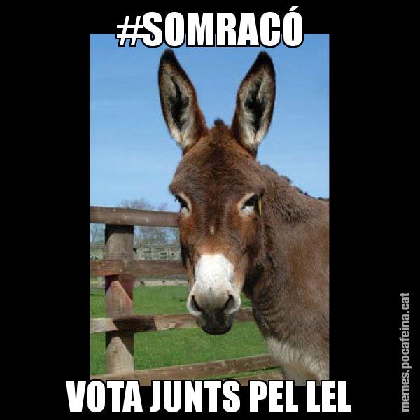 #SOMRACÓ VOTA JUNTS PEL LEL - El burro Català