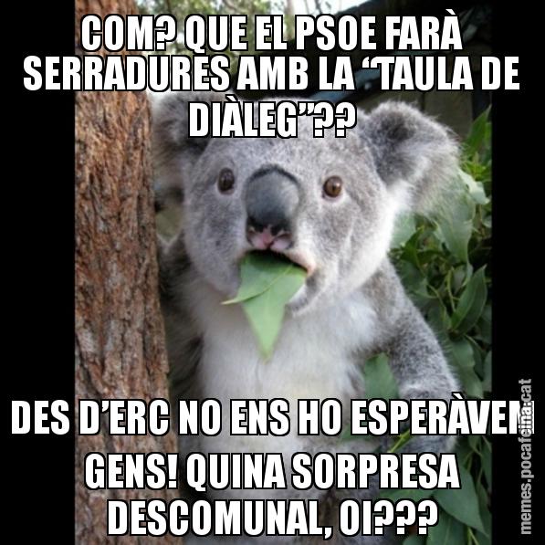 COM? QUE EL PSOE FARÀ SERRADURES AMB LA “TAULA DE DIÀLEG”?? DES D’ERC NO ENS HO ESPERÀVEM GENS! QUINA SORPRESA DESCOMUNAL, OI??? - Koala Cant Believe It