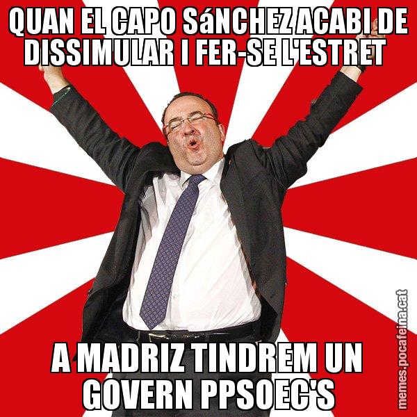 QUAN EL CAPO SáNCHEZ ACABI DE DISSIMULAR I FER-SE L'ESTRET  A MADRIZ TINDREM UN GOVERN PPSOEC'S - Miquel Iceta - 27S