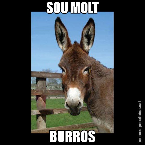 SOU MOLT BURROS - El burro Català