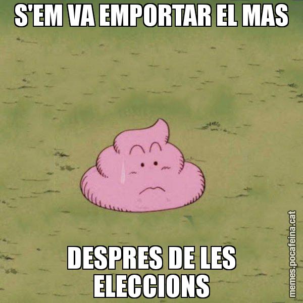S'EM VA EMPORTAR EL MAS DESPRES DE LES ELECCIONS - Caca