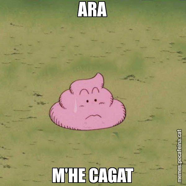 ARA M'HE CAGAT - Caca