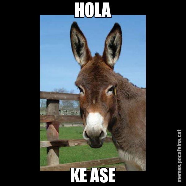 HOLA KE ASE - El burro Català