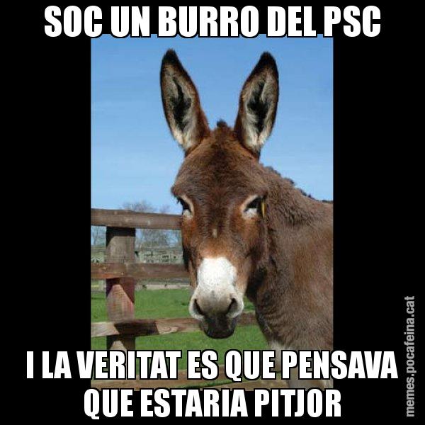 SOC UN BURRO DEL PSC I LA VERITAT ES QUE PENSAVA QUE ESTARIA PITJOR - El burro Català