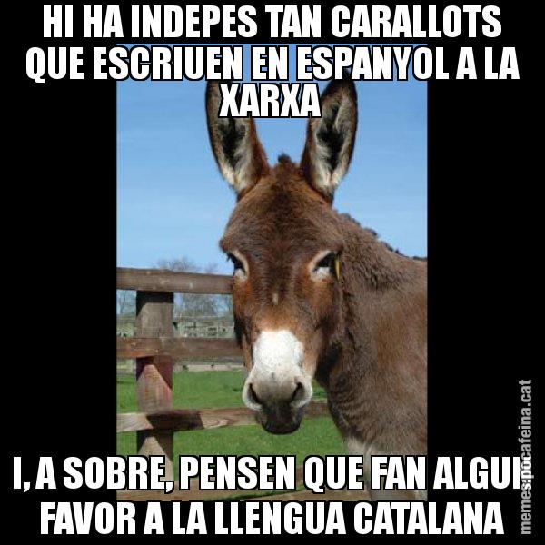 HI HA INDEPES TAN CARALLOTS QUE ESCRIUEN EN ESPANYOL A LA XARXA I, A SOBRE, PENSEN QUE FAN ALGUN FAVOR A LA LLENGUA CATALANA - El burro Català