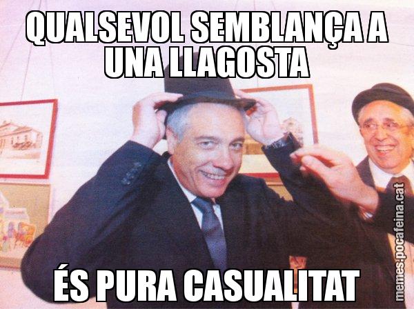 QUALSEVOL SEMBLANÇA A UNA LLAGOSTA ÉS PURA CASUALITAT - El mag Navarro