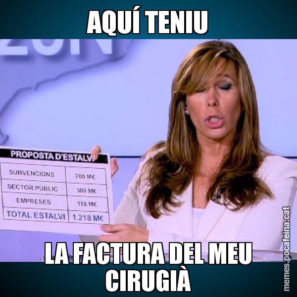 AQUÍ TENIU LA FACTURA DEL MEU CIRUGIÀ - Alícia Paper i Suma