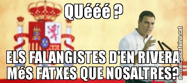 QUééé ? ELS FALANGISTES D'EN RIVERA MéS FATXES QUE NOSALTRES?