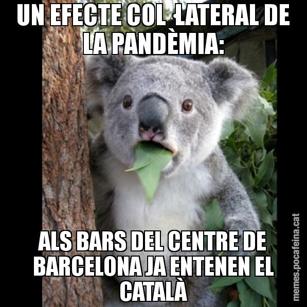 UN EFECTE COL·LATERAL DE LA PANDÈMIA: ALS BARS DEL CENTRE DE BARCELONA JA ENTENEN EL CATALÀ - Koala Cant Believe It