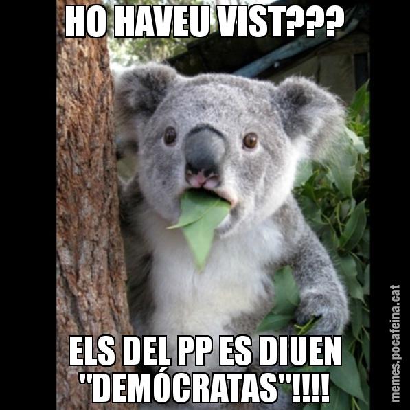 HO HAVEU VIST??? ELS DEL PP ES DIUEN "DEMÓCRATAS"!!!! - Koala Cant Believe It
