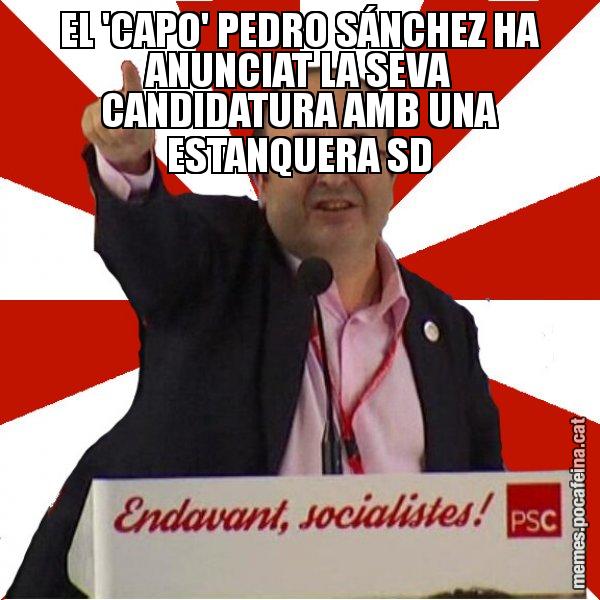 EL 'CAPO' PEDRO SÁNCHEZ HA ANUNCIAT LA SEVA CANDIDATURA AMB UNA ESTANQUERA SD - Miquel Iceta