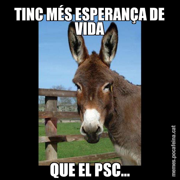 TINC MÉS ESPERANÇA DE VIDA QUE EL PSC... - El burro Català