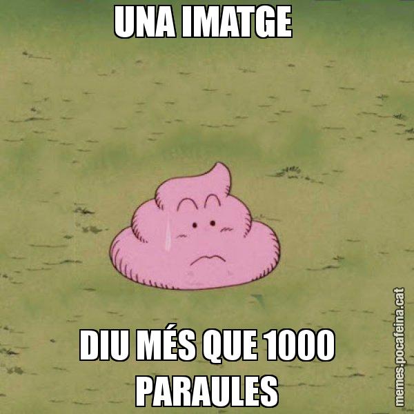 UNA IMATGE  DIU MÉS QUE 1000 PARAULES - Caca