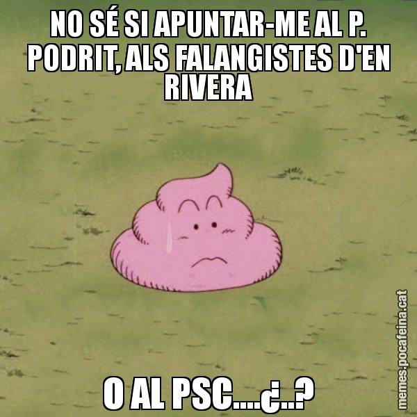 NO SÉ SI APUNTAR-ME AL P. PODRIT, ALS FALANGISTES D'EN RIVERA O AL PSC....¿..? - Caca