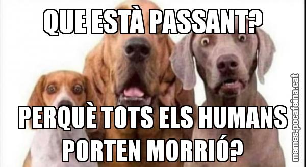QUE ESTÀ PASSANT? PERQUÈ TOTS ELS HUMANS PORTEN MORRIÓ?