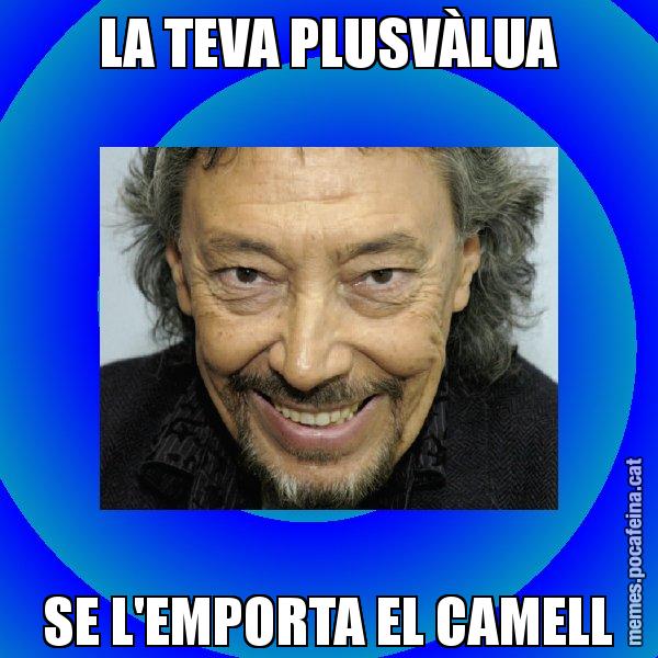 LA TEVA PLUSVÀLUA SE L'EMPORTA EL CAMELL - Llongueras
