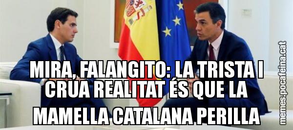 MIRA, FALANGITO: LA TRISTA I CRUA REALITAT ÉS QUE LA MAMELLA CATALANA PERILLA