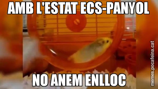 AMB L'ESTAT ECS-PANYOL NO ANEM ENLLOC