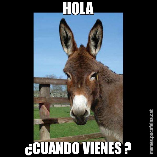 HOLA ¿CUANDO VIENES ? - El burro Català