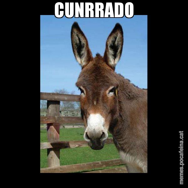 CUNRRADO - El burro Català