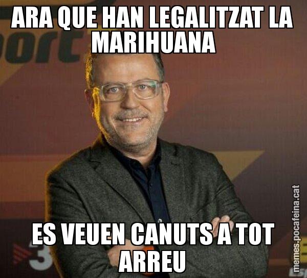 ARA QUE HAN LEGALITZAT LA MARIHUANA ES VEUEN CANUTS A TOT ARREU - Lluís Canut
