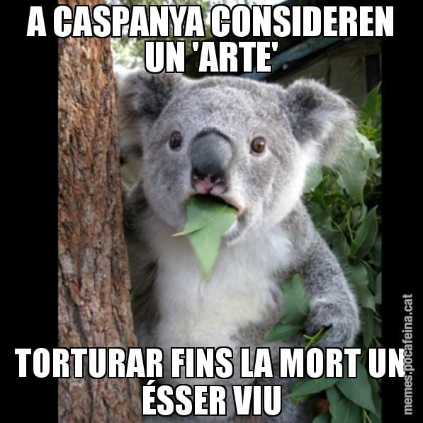 A CASPANYA CONSIDEREN UN 'ARTE' TORTURAR FINS LA MORT UN ÉSSER VIU - Koala Cant Believe It