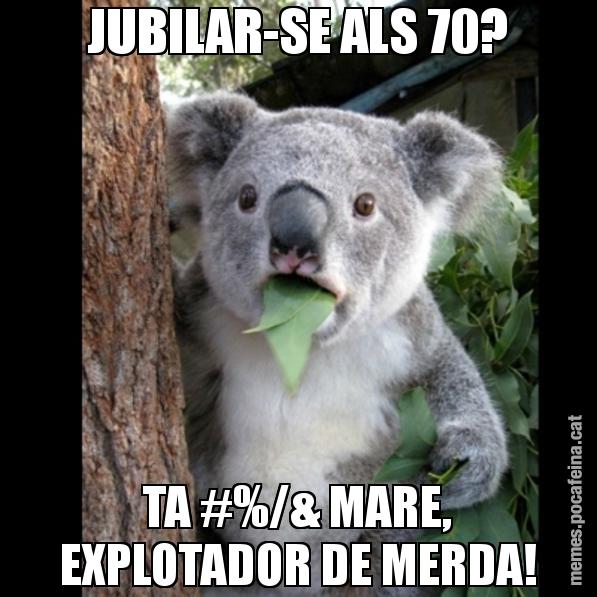 JUBILAR-SE ALS 70? TA #%/& MARE, EXPLOTADOR DE MERDA! - Koala Cant Believe It