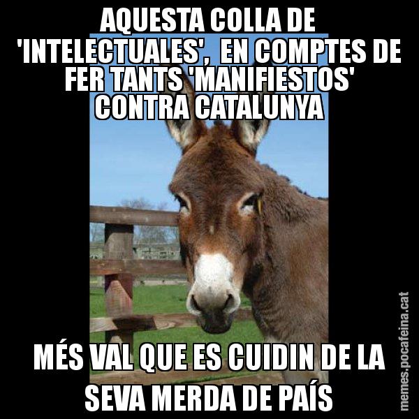 AQUESTA COLLA DE 'INTELECTUALES',  EN COMPTES DE FER TANTS 'MANIFIESTOS' CONTRA CATALUNYA MÉS VAL QUE ES CUIDIN DE LA SEVA MERDA DE PAÍS - El burro Català