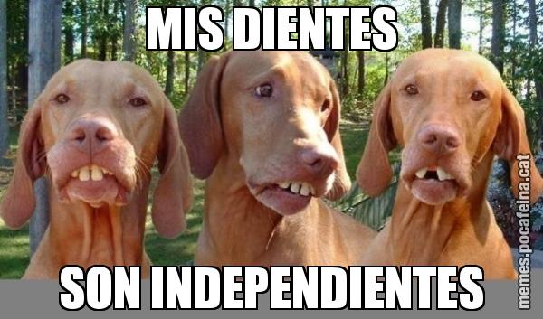 MIS DIENTES SON INDEPENDIENTES