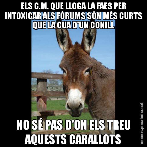 ELS C.M. QUE LLOGA LA FAES PER INTOXICAR ALS FÒRUMS SÓN MÉS CURTS QUE LA CUA D'UN CONILL NO SÉ PAS D'ON ELS TREU AQUESTS CARALLOTS - El burro Català