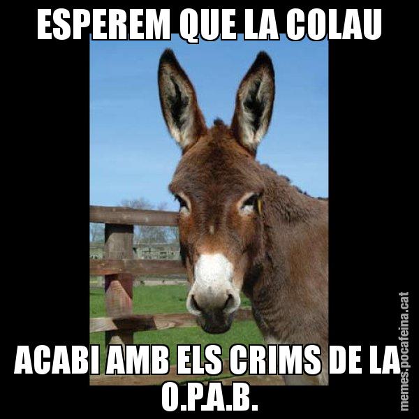 ESPEREM QUE LA COLAU ACABI AMB ELS CRIMS DE LA O.P.A.B. - El burro Català