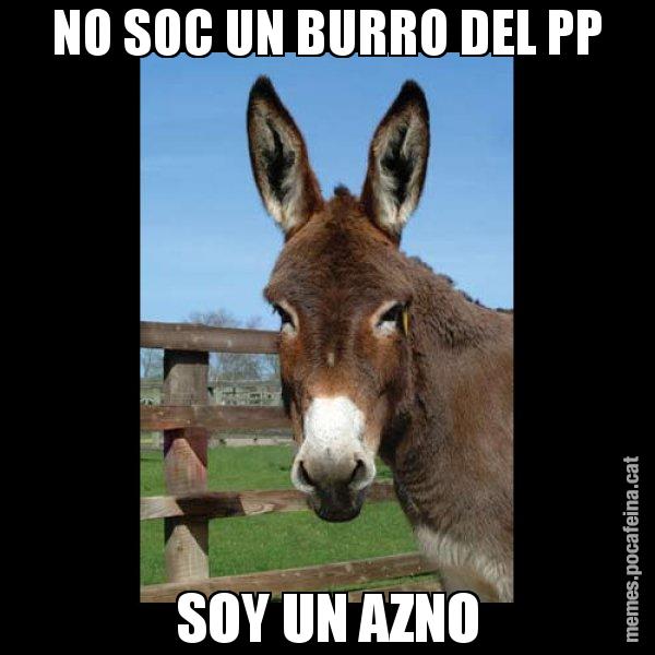 NO SOC UN BURRO DEL PP SOY UN AZNO - El burro Català