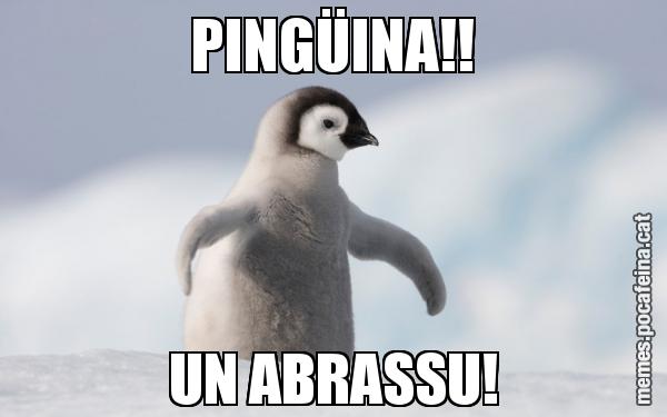 PINGÜINA!! UN ABRASSU!