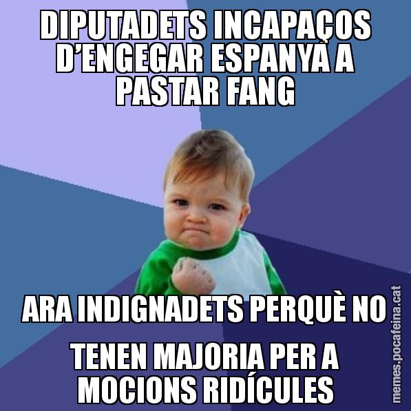 DIPUTADETS INCAPAÇOS D’ENGEGAR ESPANYA A PASTAR FANG ARA INDIGNADETS PERQUÈ NO TENEN MAJORIA PER A MOCIONS RIDÍCULES - Success Kid