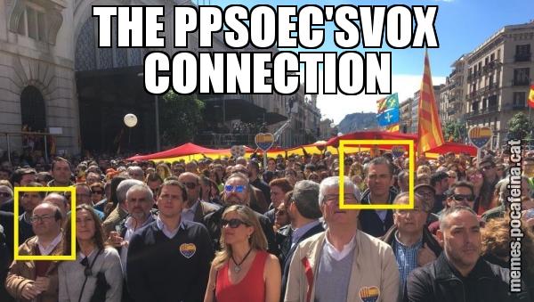 THE PPSOEC'SVOX CONNECTION