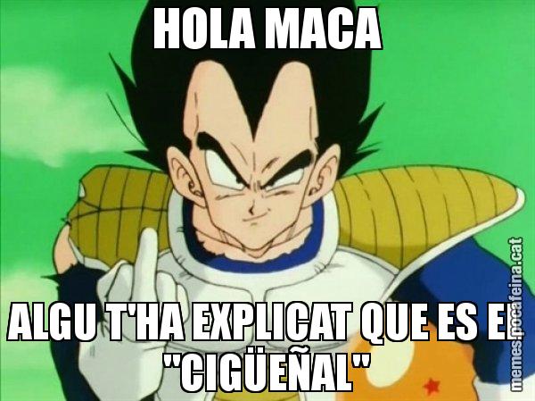 HOLA MACA ALGU T'HA EXPLICAT QUE ES EL "CIGÜEÑAL" - Vegeta