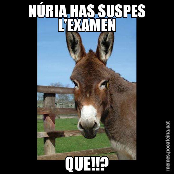 NÚRIA HAS SUSPES L'EXAMEN QUE!!? - El burro Català