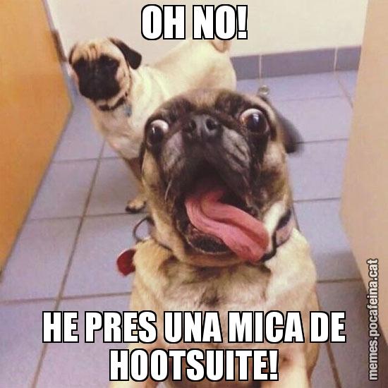 OH NO! HE PRES UNA MICA DE HOOTSUITE!