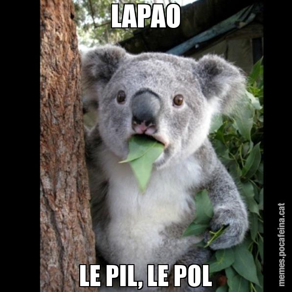 LAPAO LE PIL, LE POL - Koala Cant Believe It